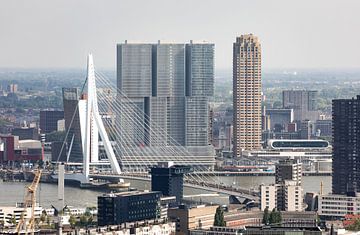 De Erasmusbrug en Wilhelminapier in Rotterdam