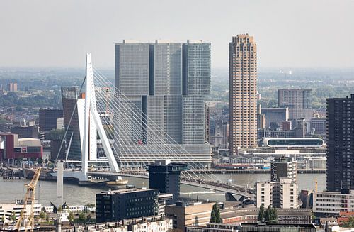 Le pont Erasmus et Wilhelminapier à Rotterdam