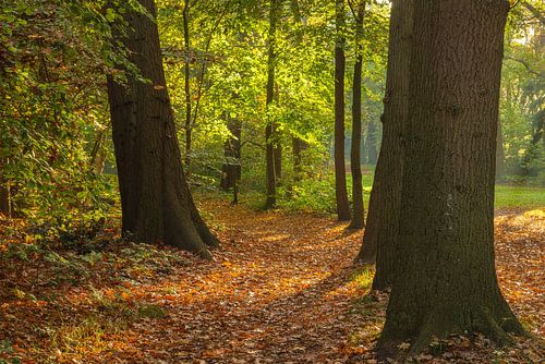 Landgoed Fraeylemaborg - Slochteren (Nederland)