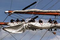 Sail