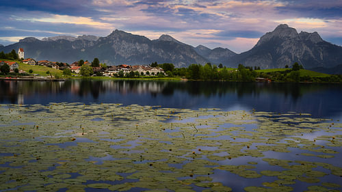 De Hopfensee met waterplanten en de Allgäuer Alpen