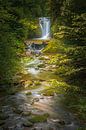 Geroldsauer Wasserfall von Henk Meijer Photography Miniaturansicht