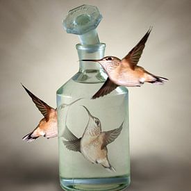 Drie Kolibries om een stopfles van Marianne Rouwendal