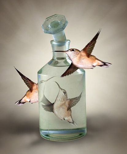 Three hummingbirds around a stopper bottle