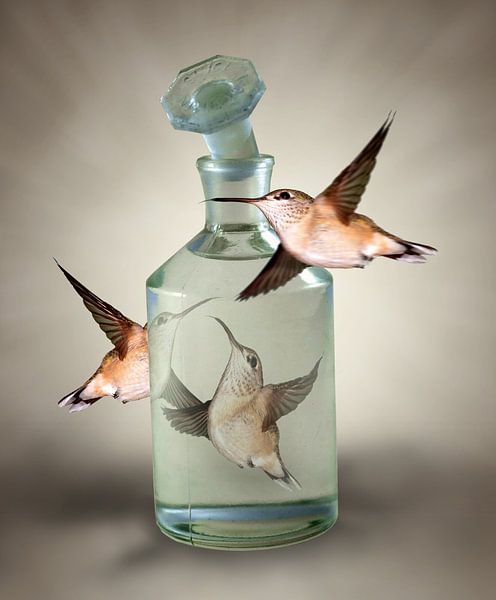 Drie Kolibries om een stopfles van Marianne Rouwendal