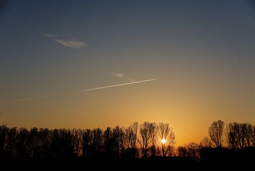 Zonsondergang achter de bomen in Het Waterrijk.