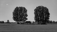 paysage maritime