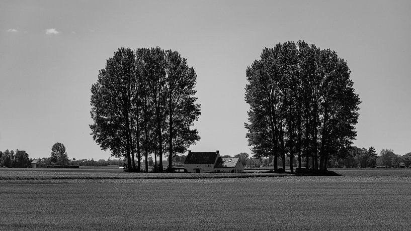 Meereslandschaft von Nicolette Uchtmann