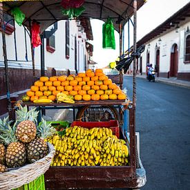 Fruit Shop by Sylvia Fransen