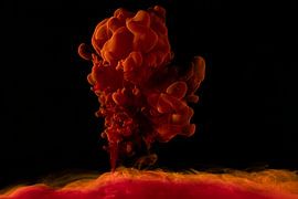 Ink in water: Orange explosion by Wendy Smit