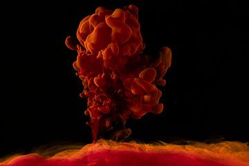 Tinte im Wasser: Orangenexplosion von Wendy Smit