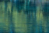 Reflectie in het water