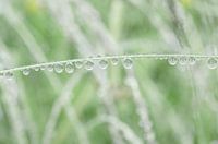 Drops rail