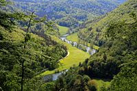 Allemaal groen in het Donaudal