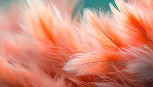 Feder weich mit Orange Farbe