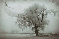 Mist
