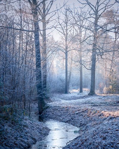 Le pays des merveilles de l'hiver