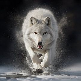 krachtige poolwolf van AH Creative Labs