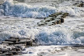 Buhnen an der Küste der Ostsee von Rico Ködder