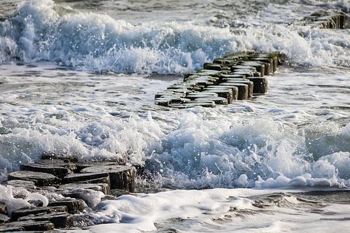 Buhnen an der Küste der Ostsee