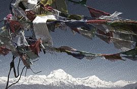 Boeddhisme in Nepal von Wim Dubbelman