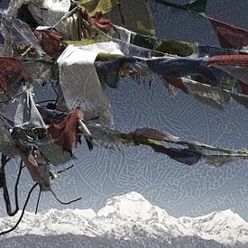 Boeddhisme in Nepal von Wim Dubbelman