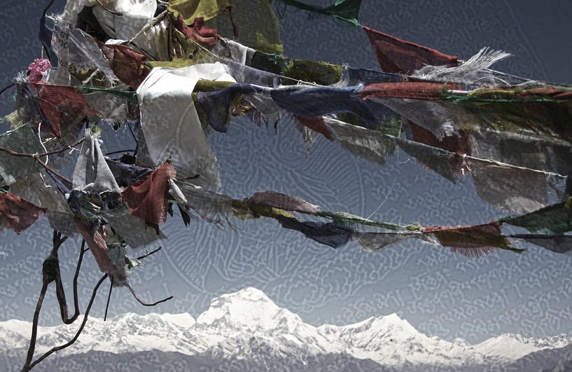 Boeddhisme in Nepal van Wim Dubbelman