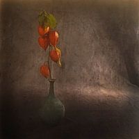 Stilleven met lampionplant
