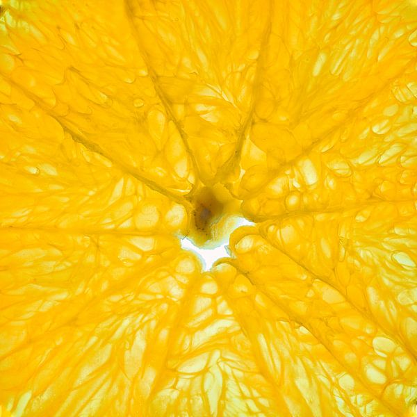 Nahaufnahme einer Orangenscheibe isoliert auf weißem Hintergrund. von Carola Schellekens