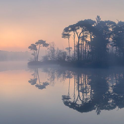 Een mistige zonsopkomst bij de Oisterwijkse Bossen en Vennen