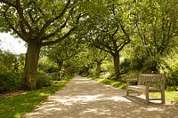 Repetition of benches and trees I Jardins de Valloires I Picardy, France I Colour print