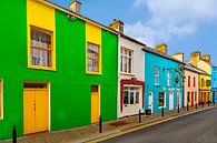 Maisons peintes de couleurs vives dans la ville de Dingle, Kerry, Irlande. par Mieneke Andeweg-van Rijn Aperçu