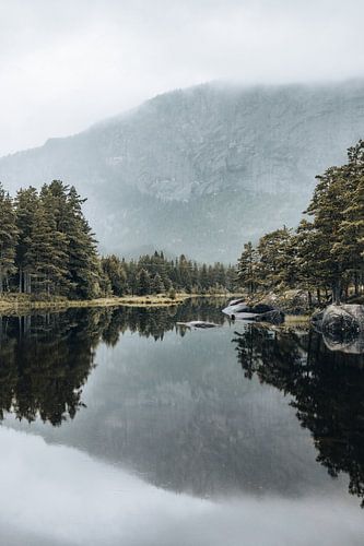 Matin brumeux à Kjeøyne en Norvège sur Bart Sallé