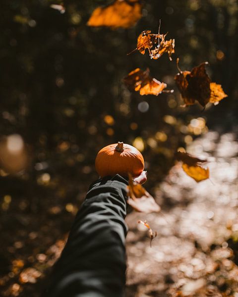 Autumn Vibes by Hello Pompoyo