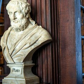 Buste van Plato Trinity College Bibliotheek van Terry De roode