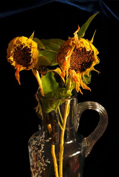 Picturesque sunflowers by Thomas Jäger