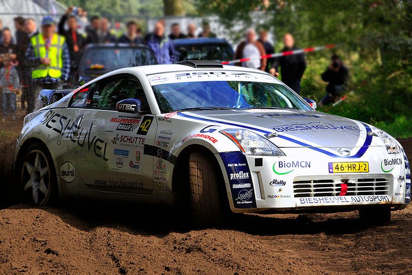Hellendoornse Rally 2010 by Floris Struis