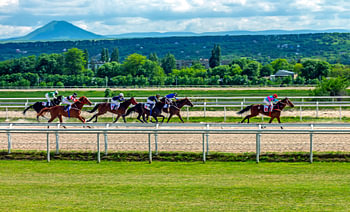 Finish horse race.