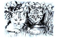 Baby Cats In Blue And White