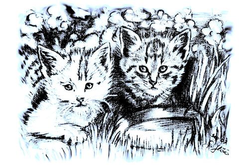 Baby Cats In Blue And White by GittaGsArt