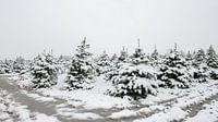 mini Ardennen