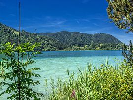 BAVIÈRE : VUE SUR LE LAC DE SCHLIERSEE