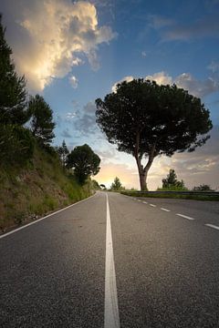 View over nature on the coastal road near Salerno by Fotos by Jan Wehnert