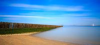 Stil leven aan de Westerschelde