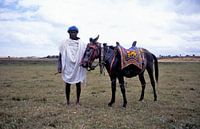 Horse and rider