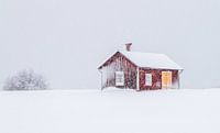 Winter in Zweden von Hamperium Photography Miniaturansicht