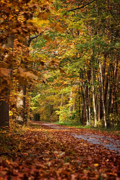 Herfst by Elly Damen