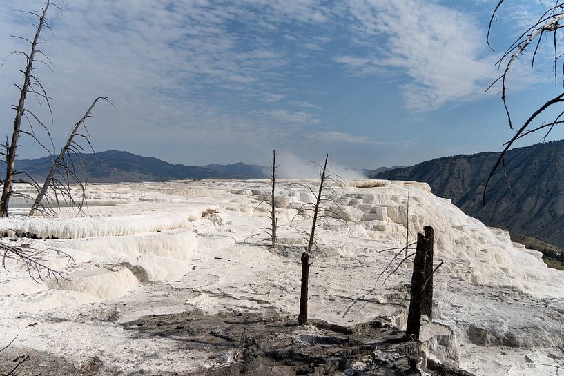Mammoth Hot Springs, Yellowstone National Park, USA by Jeroen van Deel