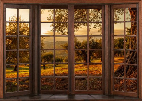 Blick aus einem Holzfenster
