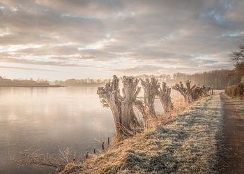 Winter is on its way...